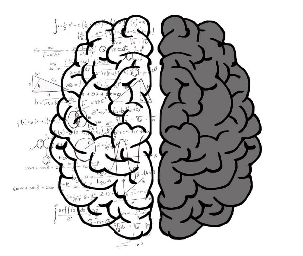 brain, mind, psychology